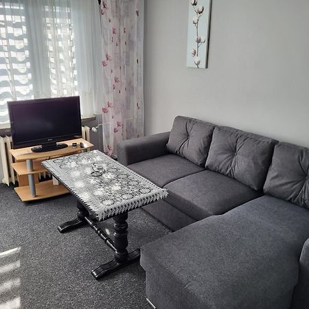 Apartament Sosnowy Z Parkingiem Stary Toruń Kültér fotó