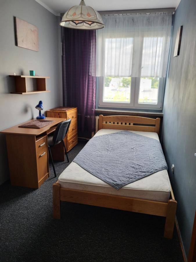 Apartament Sosnowy Z Parkingiem Stary Toruń Kültér fotó